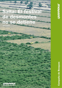 http://www.greenpeace.org/argentina/Global/argentina/report/2013/bosques/Informe-Salta-2013-FINAL.pdf