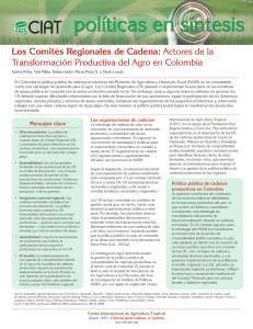 Los Comités Regionales de Cadena: Actores de la Transformación Productiva del Agro en Colombia