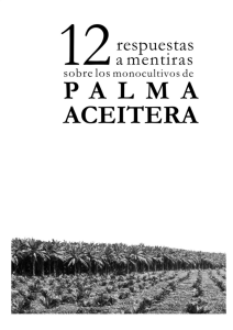   1  12 respuestas a 12 mentiras sobre los monocultivos de palma...