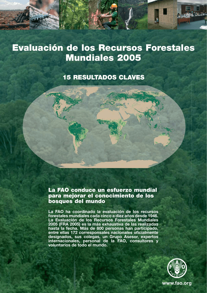 Global forests. Global forest resources assessment.