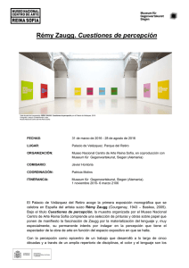 Dossier de la exposición de Rémy Zaugg, Cuestiones de percepción