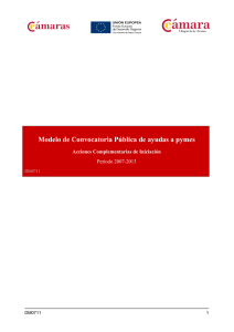 Modelo de Convocatoria Pública de ayudas a pymes  Periodo 2007-2013