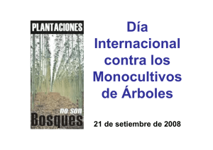 Testimonio de pobladores locales sobre los impactos de los monocultivos de árboles (pdf con fotos)