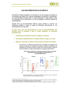 Nuestra Opinión sobre los Biocombustibles en México