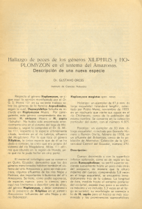 Xiliphius y Hoplomyzon-Amazonas 1961.pdf