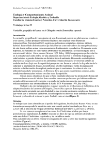 Trabajos_practicos_files/TP9.pdf