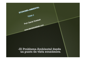 Tema 2 economia ambiental 2013