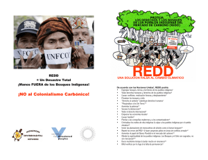 ¡NO al Colonialismo Carbónico!  REDD = Un Desastre Total