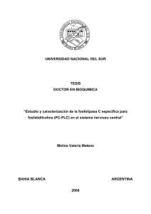Tesis Mateos.pdf