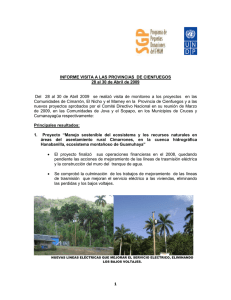 Informe de la visita realizada a la provincia de Cienfuegos (abril 2009).