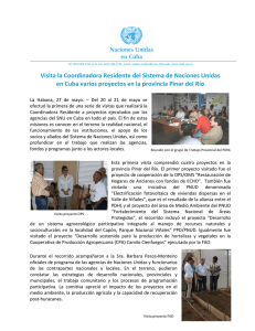 Informe de la visita realizada a la provincia de Pinar del Río por la Coordinadora Residente del Sistema de Naciones Unidas (mayo 2010).