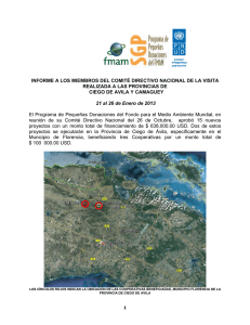 Informe de la visita realizada a las provincias de Ciego de Ávila y Camagüey (enero 2013).