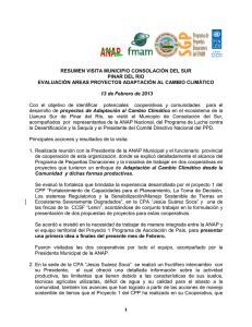 Informe de la visita realizada al municipio Consolación del Sur, Pinar del Río (febrero 2013).