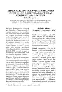 Gibboryctes waldenfelsi-Ecuador 2012Politecnica30(3).pdf