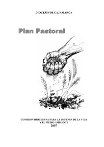 Plan Pastoral De La Vicaria De Defensa De La Vida