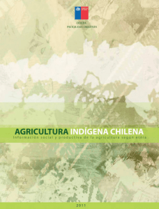 http://www.odepa.cl/wp-content/uploads/2012/01/Agricultura_indigena_chilena_2011.pdf