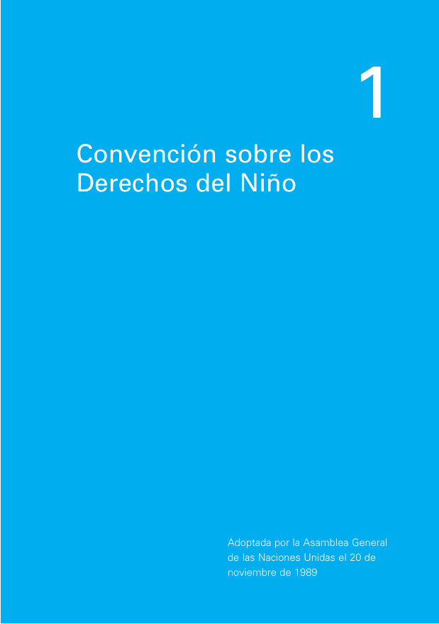 Convencion De Los Derechos Del Nio