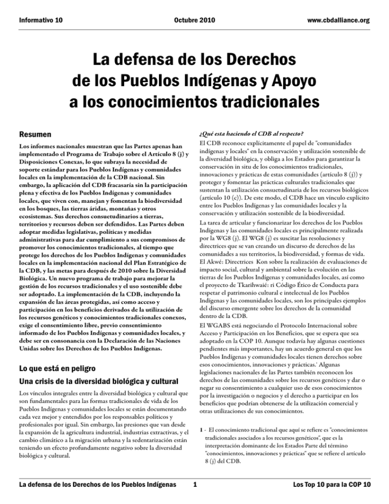 La Defensa De Los Derechos De Los Pueblos Ind Genas Y El Apoyo A Los ...