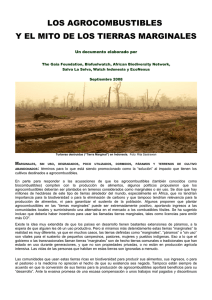 Los Agrocombustibles y el Mito de las Tierras Marginales