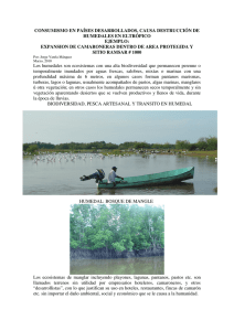 Consumerism in developed countries causes destruction of Wetlands in the tropics