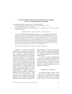 Grundulus-Characiformes2005.pdf