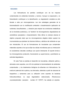 C_- Resumen.pdf