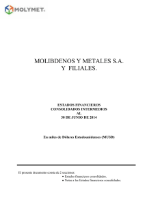 201406_Estados_Financieros_Molibdenos_y_Metales_SA_93628000-5_(20140820_1034).pdf