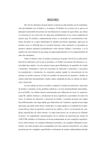 Tesis Luengo.pdf