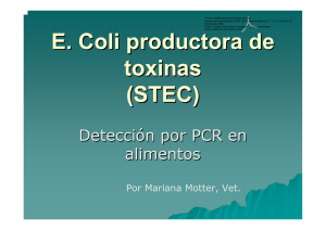 E coli productora-de-toxinas Mariana Motter