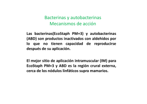 Bacterinas y autobacterinas Mecanismos de acción