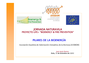 02-avebiom-desarrollo-de-la-bioenergia.pdf ( creado 20/12/12, tamaño 3,622.75kbs )