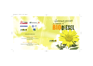 Panel: Beneficios del biodiésel (1,102.08 kbs.) .