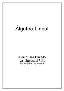 ALGEBRA LINEAL 2015-D.pdf
