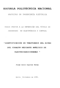 T11395.pdf