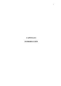 CD-0309.pdf