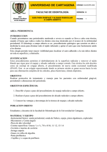 GuiaRaspajeyAlisadoRadicular002.pdf (2037 Downloads)