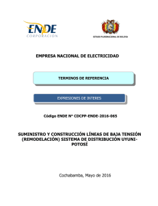 EMPRESA NACIONAL DE ELECTRICIDAD SUMINISTRO Y CONSTRUCCIÓN LÍNEAS DE BAJA TENSIÓN