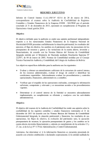 Auditoria de Confiabilidad de Registros Contables y Estados Financieros, Gestión 2013