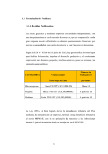 QUISPE_RAMIREZ_Efectos_informalidad_formalidad_MARCO_TEORICO.pdf
