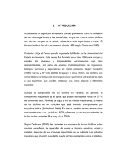 MEDOZA_DARLY_EFECTO_INCUBACION_FORMACION_MARCO_TEORICO.pdf