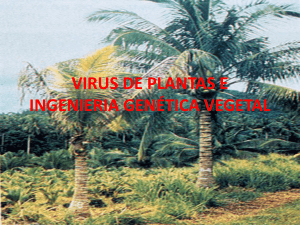 VIRUS DE PLANTAS E INGENIERIA GENÉTICA VEGETAL