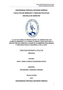 CHUQUIRUNA_LARIELA_DERECHO_PUEBLOS_INDIGENAS.pdf