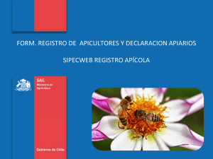FORM. REGISTRO DE  APICULTORES Y DECLARACION APIARIOS SIPECWEB REGISTRO APÍCOLA