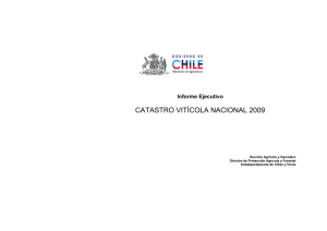CATASTRO VITÍCOLA NACIONAL 2009  Informe Ejecutivo
