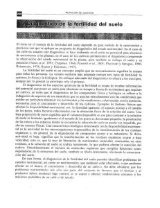 DIAGNOSTICO DE LA FERTILIDAD DE SUELO ESTUDIOS DE NUTRICION VEGETAL