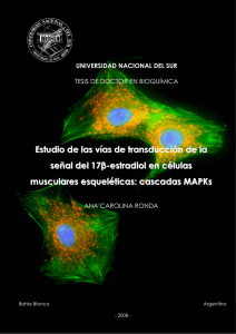 Tesis Doctor en Bioquimica - Ronda, Ana Carolina.pdf
