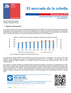 1448395705Cebolla2015.pdf