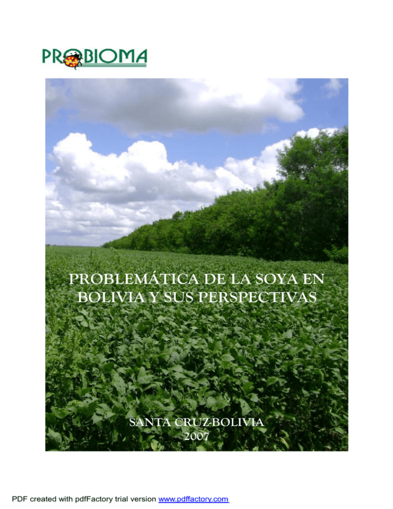Problem Tica De La Soya En Bolivia Y Sus Perspectivas