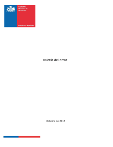 1446581718Boletíndelarroz201510.pdf