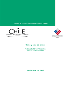 Carne y lana de ovinos Noviembre de 2008 Verónica Echávarri Vesperinas